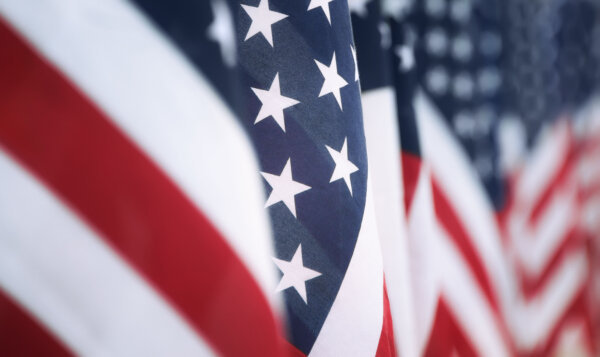american flags in a row up close