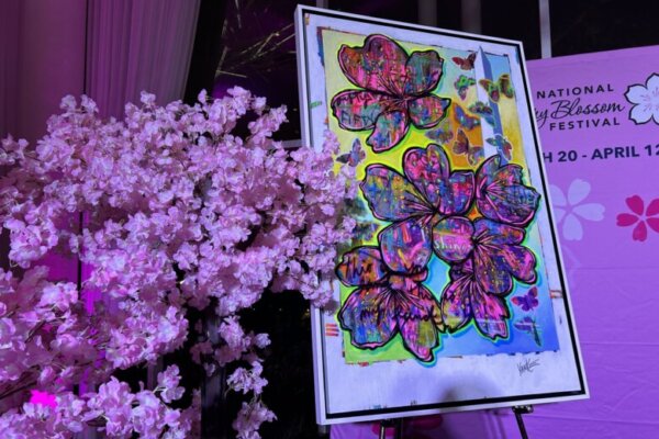 national cherry blossom art