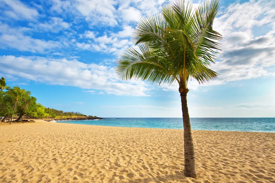 YinYang/Getty Images A lone palm tree on Hulopoe Beach.