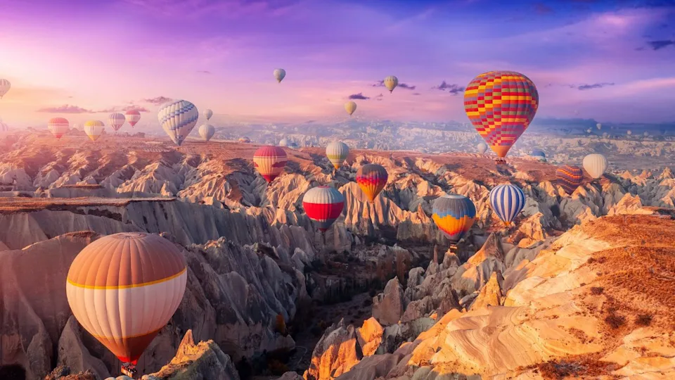 Image Credit:Shutterstock.