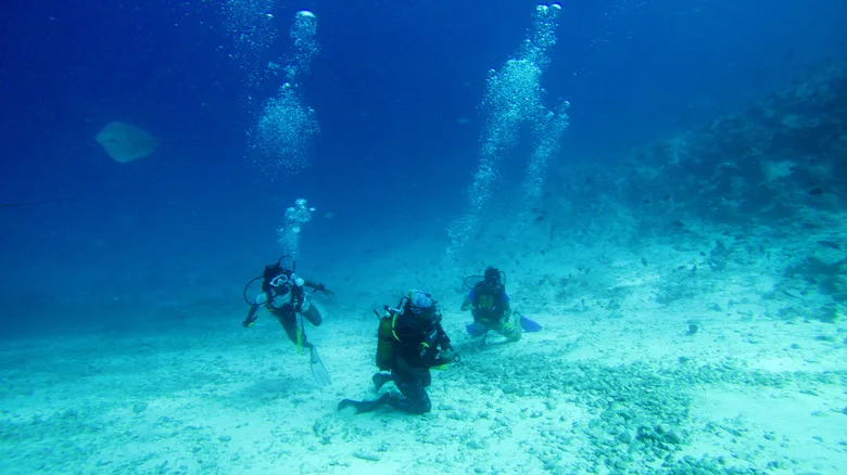three scuba divers in the ocean in the Maldives
