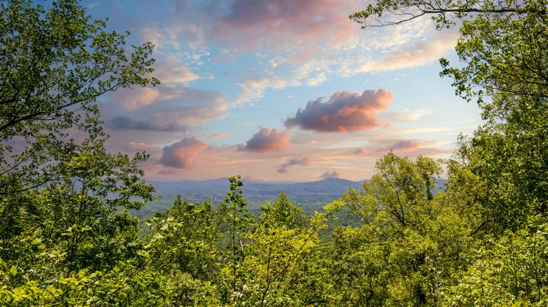 sunset in Amicalola Falls State Park in Dawsonville, Georgia