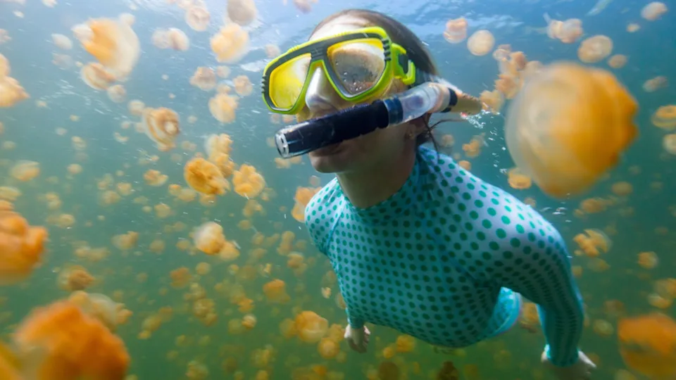Tourist woman snorkeling in Jellyfish Lake at Palau