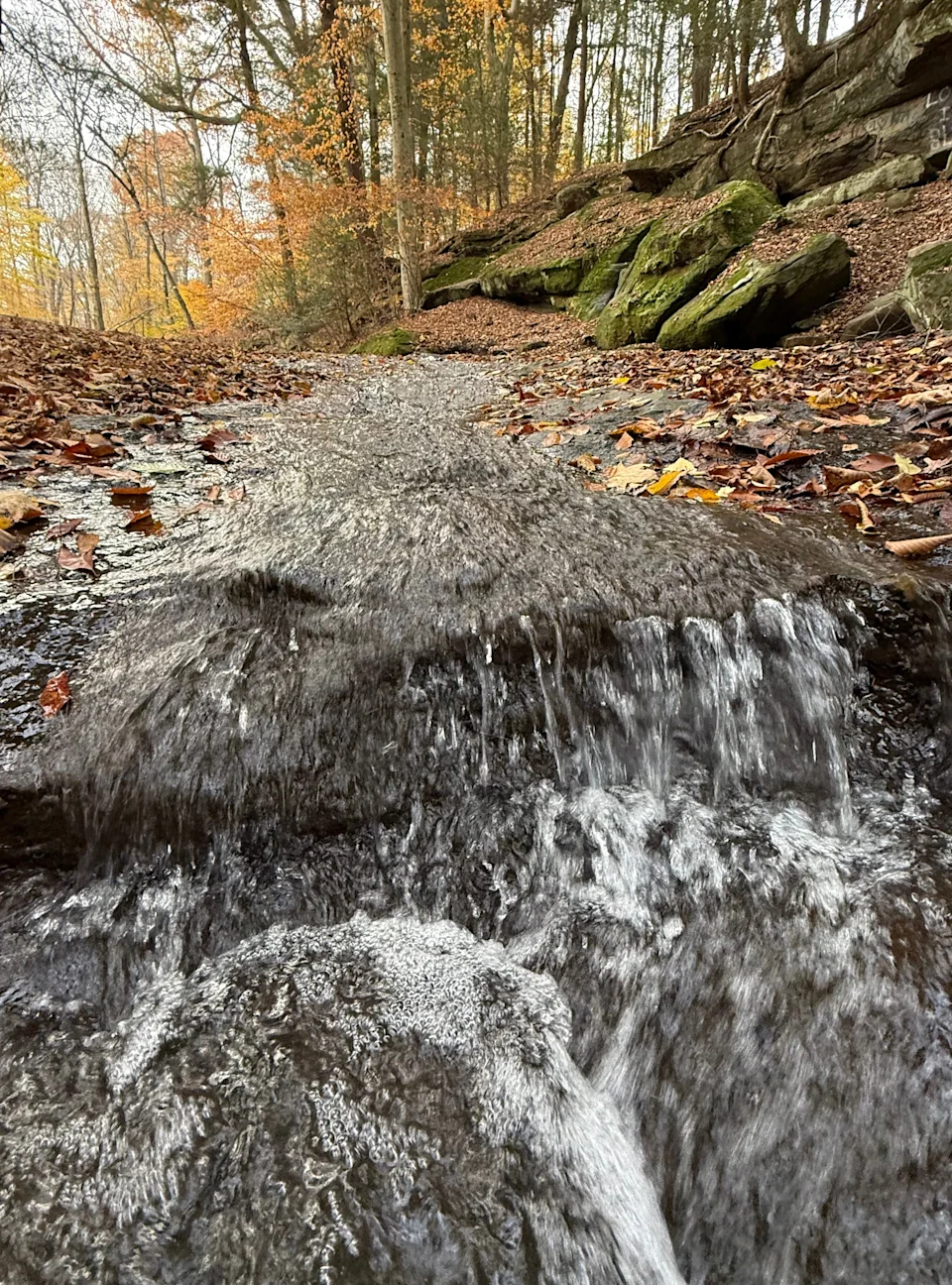 Dundee Falls, part of the Beach City Wildlife Area in Tuscarawas County, is small but picturesque.