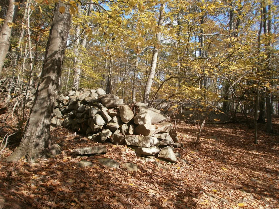A rough stone wall on the Tattapanum Trail in Fall River.