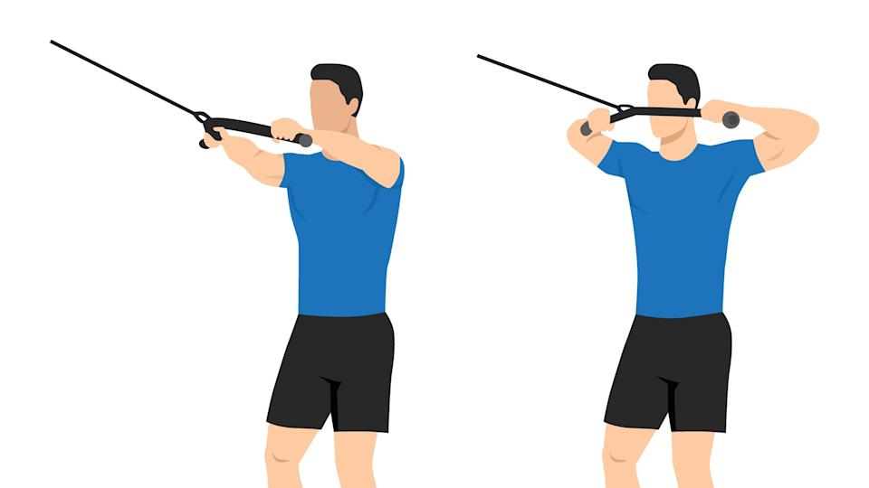 Vector face pull exercise with band