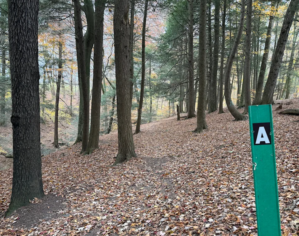 Hikers will enjoy the wilderness and natural features in the Beach City Wildlife Area, including Dundee Falls, rock formations and remote wilderness.