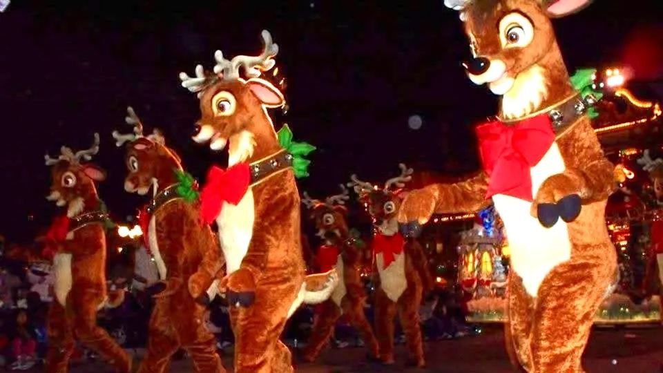 Image Credit: Marianne Paluso.