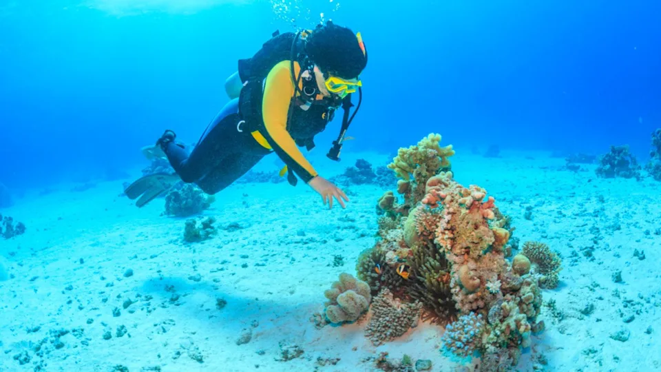 Diver in the Red Sea, Egypt