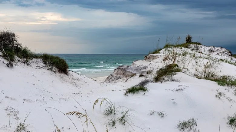 A view of sand dunes at St. Andrews State Park