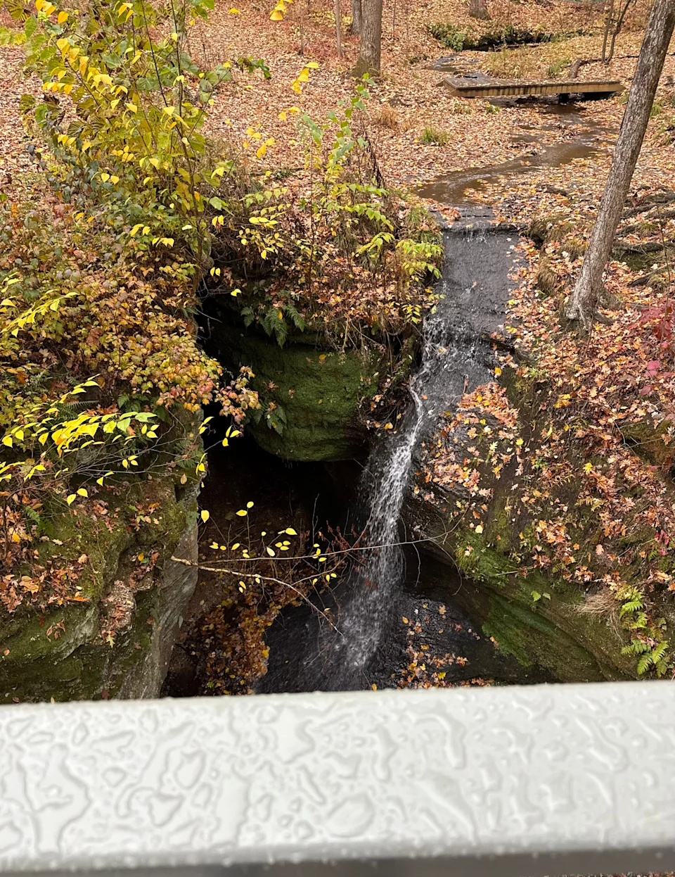 The Falls Edge Glass Walkway is a highlight of Nelson-Kennedy Ledges State Park in Portage County.