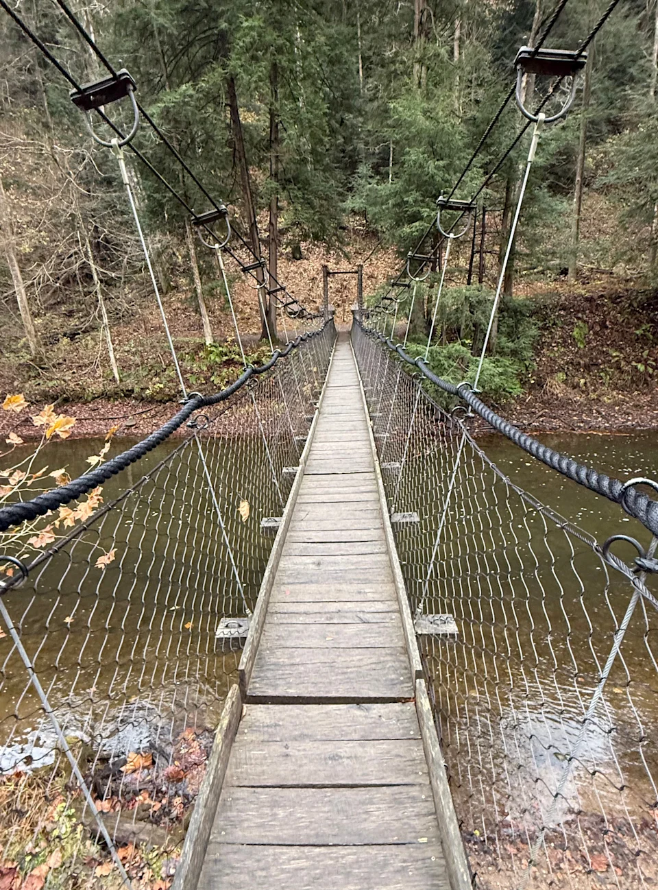 A cable bridge at Mohican State Park in Ashland County opened in 2021.