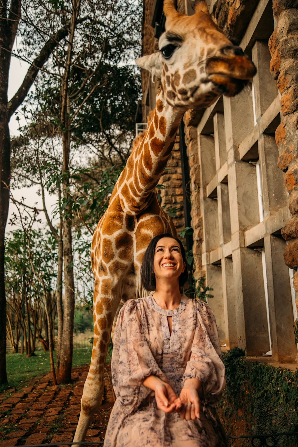 feeding the giraffes at Giraffe manor