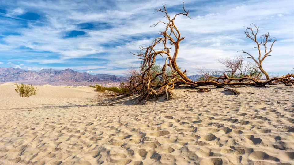 Death Valley National Park