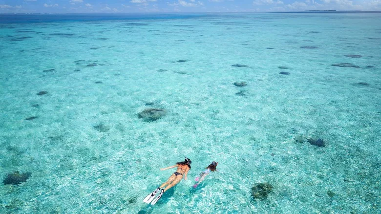 Aerial drone view of a mother and her daughter snorkeling in the turquoise, clear waters of the Maldives