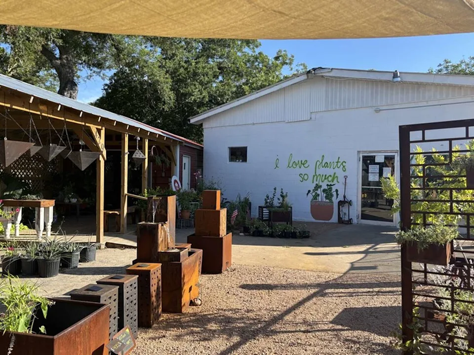 "I love plants so much," reads a sign on the exterior of Verde Haven, a charming plant nursery in Comfort, Texas located along Texas 27. (Mia Valdez/MySA)