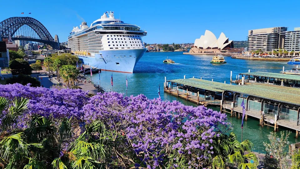Sydney Harbour, Australia - 9 November 2022: A breathtaking view of Sydney Harbour featuring the luxurious cruise ship "Ovation of the Seas" docked near iconic landmarks.