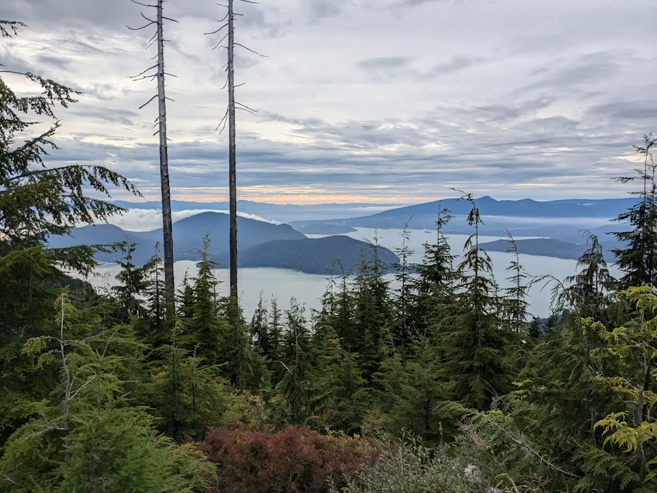The view from Burnaby Mountain.