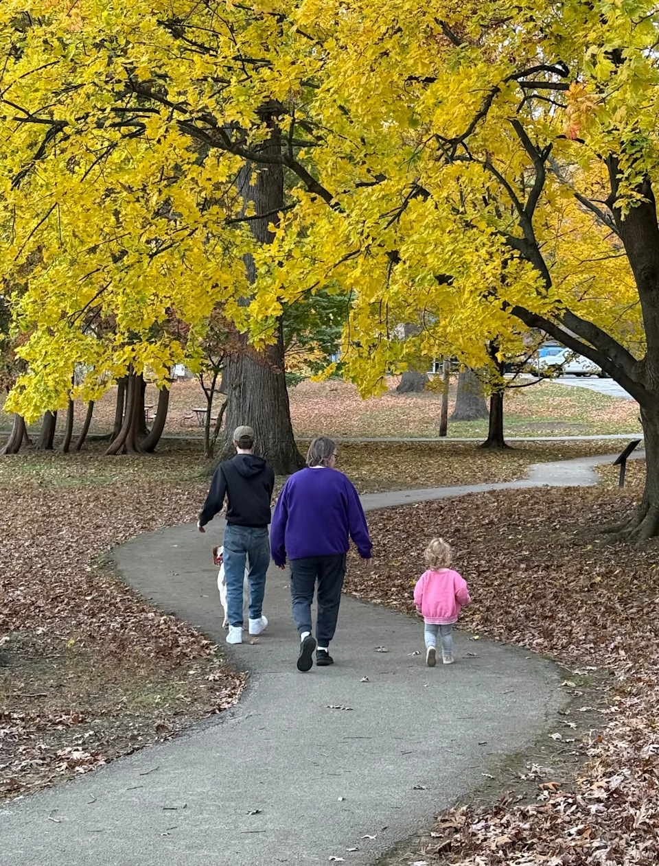 Wingfoot Lake State Park features mostly paved trails, which offer views of the water, where the Goodyear blimp sometimes can be seen lifting off and landing.