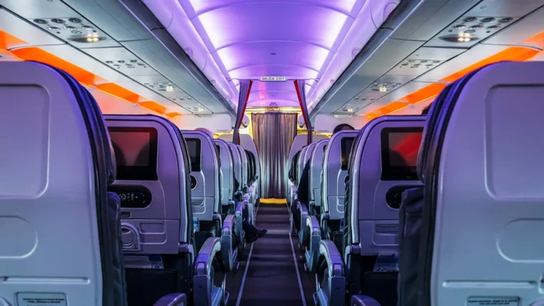 A flight attendant recommends 2 items for surviving long-haul flights — and they’re on sale for under $20