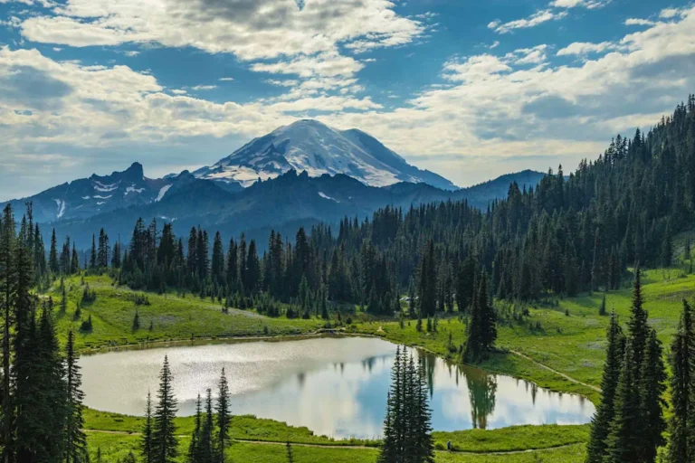 This National Park Has the Tallest Mountain in the Pacific Northwest—Plus, Glaciers, Wildflowers, and Hidden Waterfalls