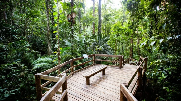 12 Unmissable Activities From Coast to Coast