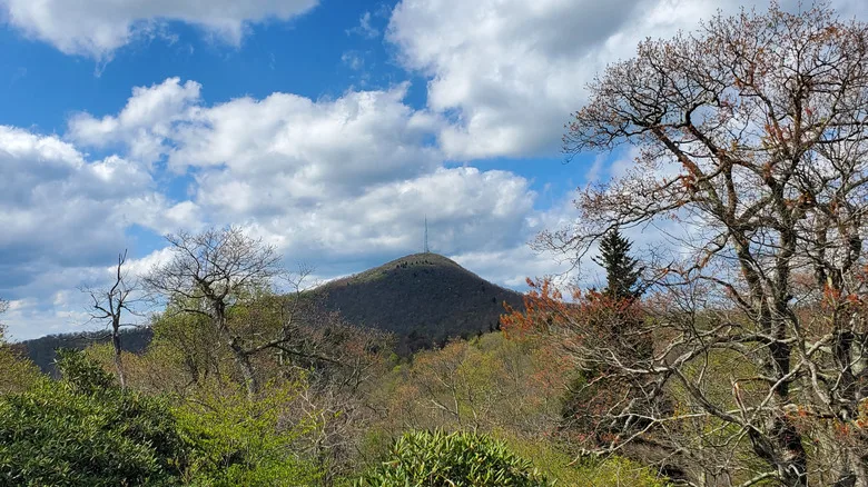 Mount Pisgah as seen from the Blue Ridge Parkway