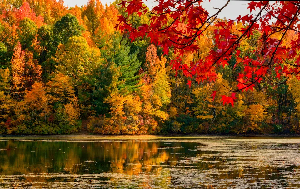 Radiant fall foliage and other stunning natural landscapes inspire awe and remind us to be present and take it in.