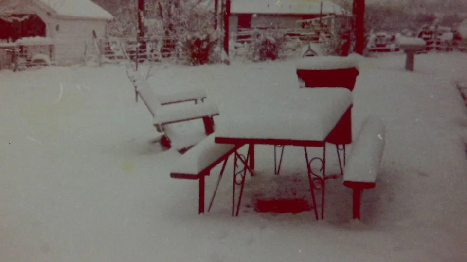 John took a few photos of the snow, piled some six inches high on Virgil’s garden furniture, on his Lomomatic pocket camera on Thanksgiving 1980. - John Morris