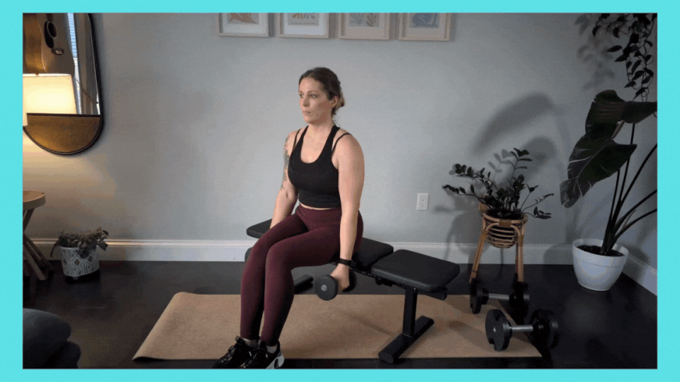 Seated Lateral Raise