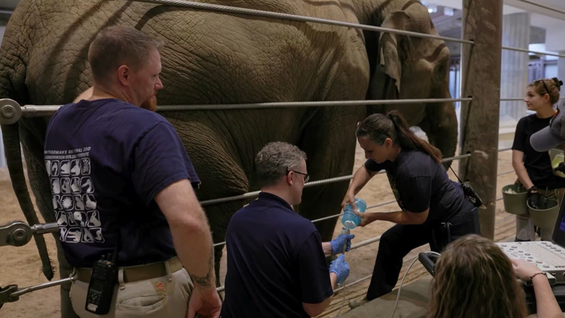 Zookeepers check on Nhi Linh