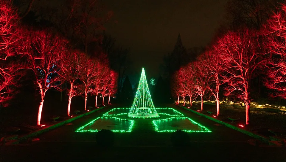 green christmas lights outlining a tree and gardens and tree light around it with red lights
