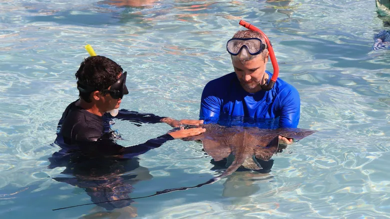 Stingray City Grand Cayman