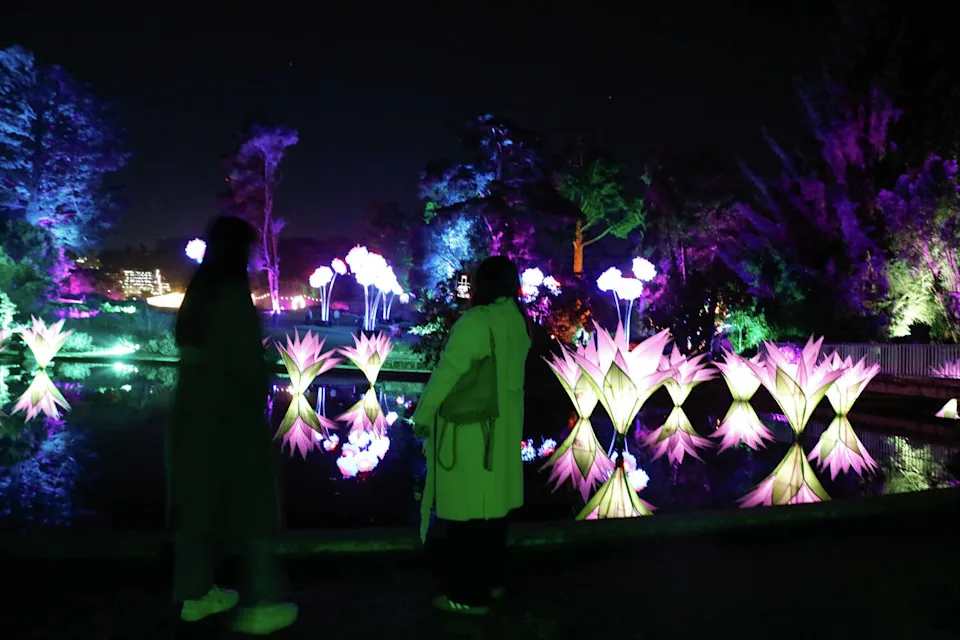 Visitors view the Amazonica, Peonies and Winter Cathedral exhibit on opening night of Lightscape at the San Francisco Botanical Garden on Nov. 21. (Lea Suzuki/S.F. Chronicle)