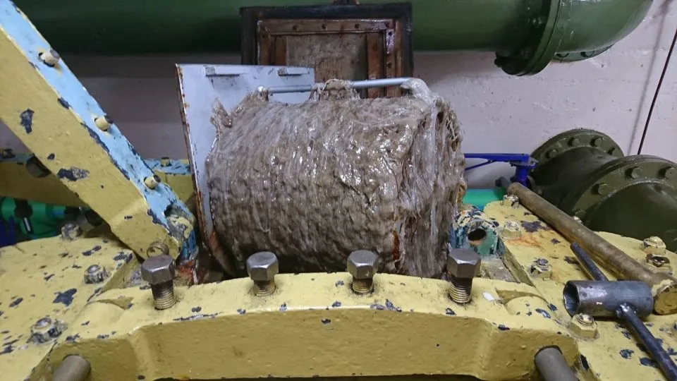 Lindavia is present at other lakes in New Zealand, such as Lake Tekapo, where it has caused a nuisance clogging up machinery. - Paul Bryant/Genesis Energy Ltd