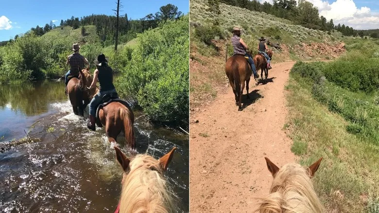 Horseback riding through a creek and along a trail in the Red Feather Lakes area of Colorado