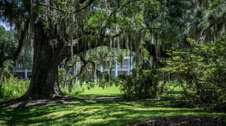 South Carolina’s Wildly Underrated Small City Has Historic Mansions And A Quiet Lake