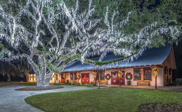 This Georgia Island Turns Into A Christmas Wonderland With 2 Million Lights And Gilded-Age Charm