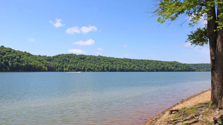 Lake Cumberland's blue water and green trees along the shore