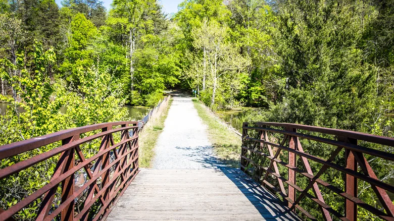 A bridge on Salem Lake Trail