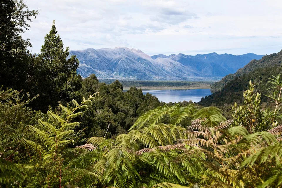 tupatu76/iStockphoto/Getty Images Panoramic views from Pumalin Douglas Tompkin National Park.