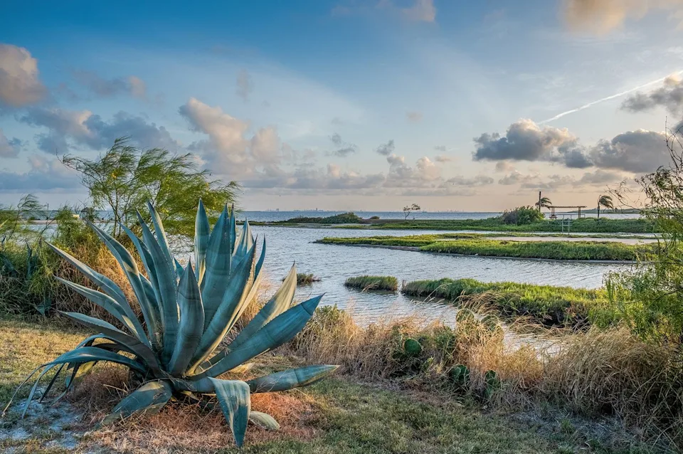 Kanokwalee Pusitanun / Getty Images Sunset over a waterfront in Corpus Christi, Texas