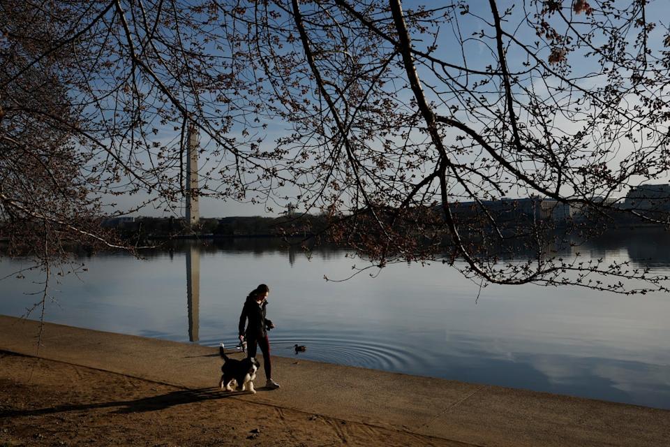 Walking is just good for you. It can help protect your immune and heart health, as well as protect you from disease (Getty)