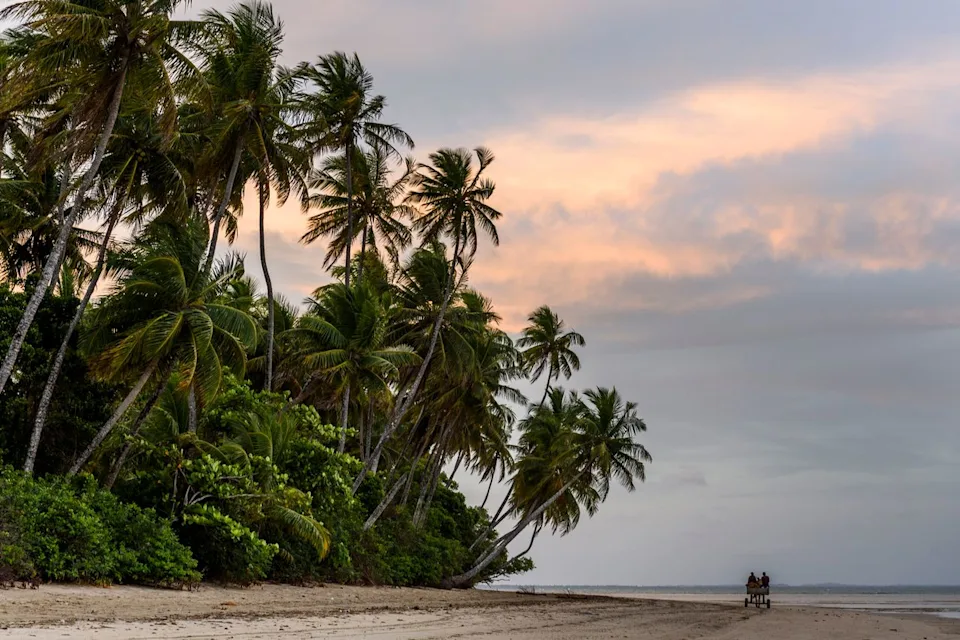 Cavan Images/Cavan Images RF/Getty Images A tropical beach at sunset in Boipeba, Brazil.