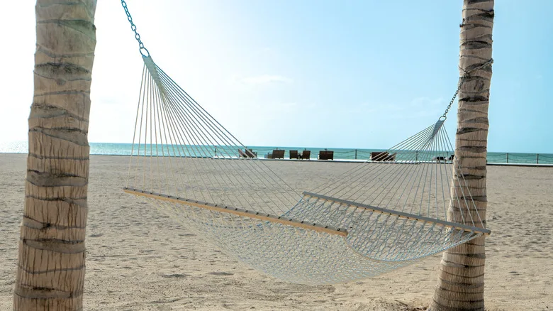 hammock hanging between two trees by the ocean