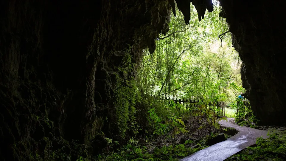 Waitomo Glowworm Caves, New Zealand