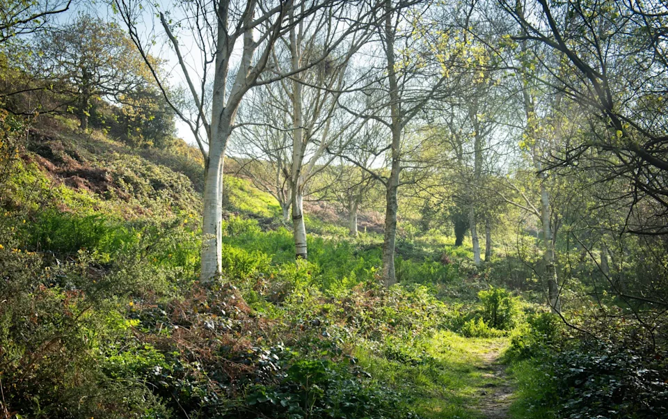 Val de la Mare Arboretum; Jersey things to do