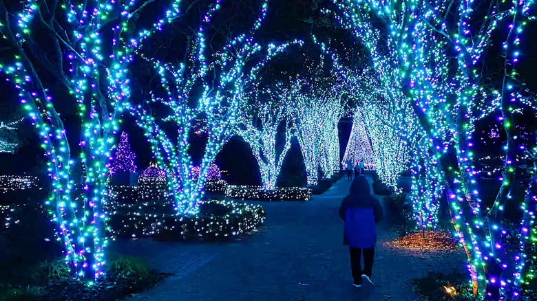 Glowing tree lights at Garden Lights, Holiday Nights, Atlanta.
