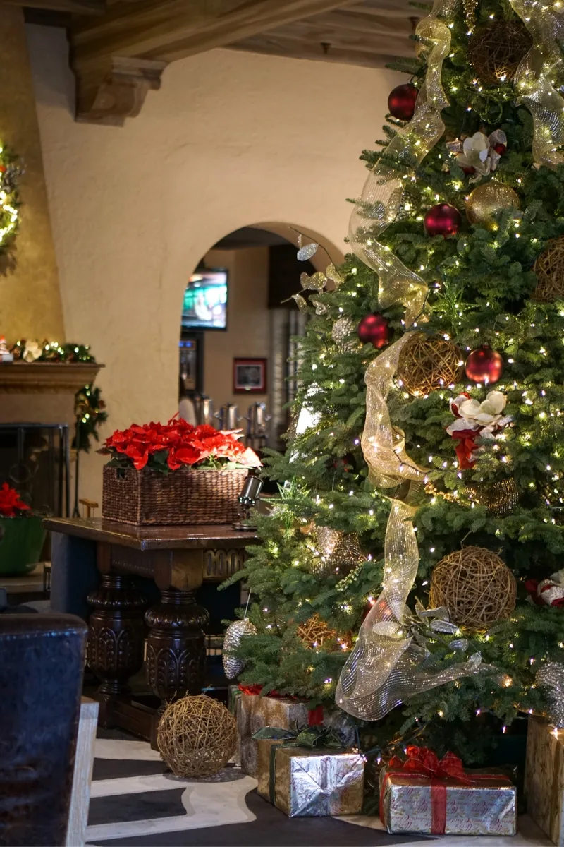 Travel Guide to Sonoma Valley_ Be Inspired to Celebrate The Magic of The Holidays in California's Wine Country