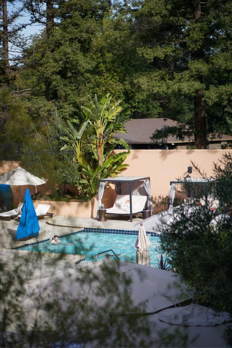 Travel Guide to Sonoma Valley_ Be Inspired to Celebrate The Magic of The Holidays in California's Wine Country